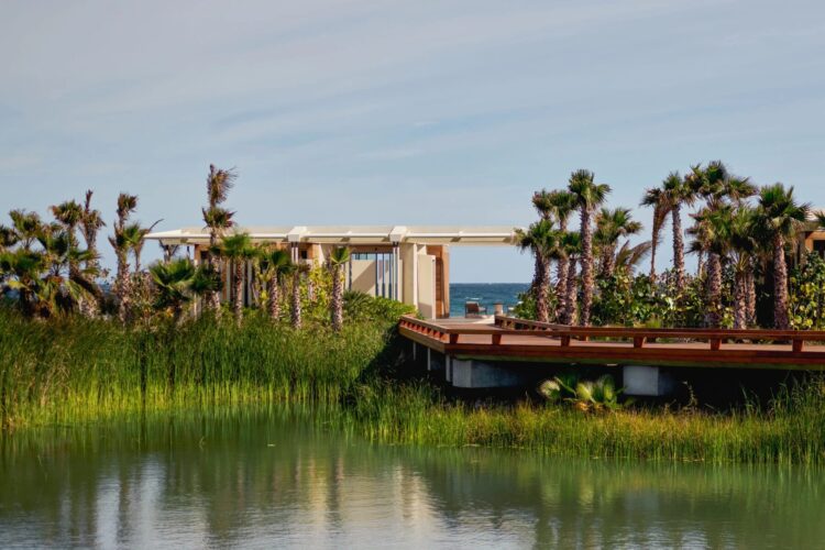 Aman’s First Mexico Resort Is Far From the Cabo Most Travelers Know